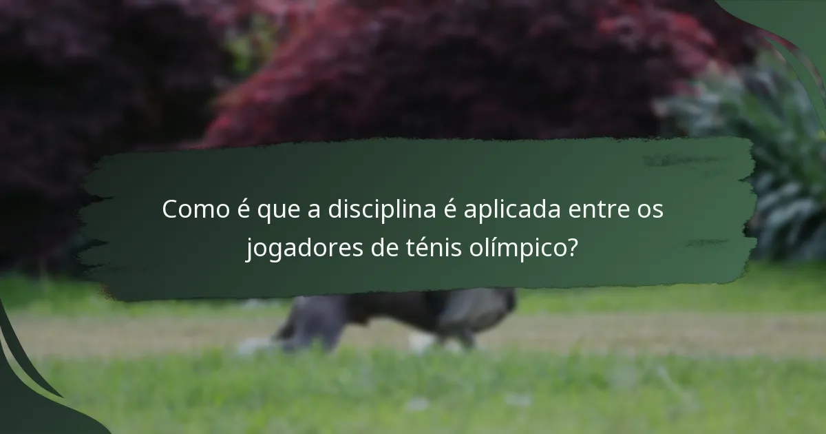 Como é que a disciplina é aplicada entre os jogadores de ténis olímpico?