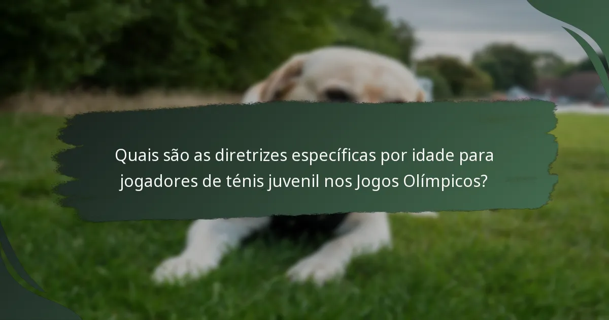 Quais são as diretrizes específicas por idade para jogadores de ténis juvenil nos Jogos Olímpicos?