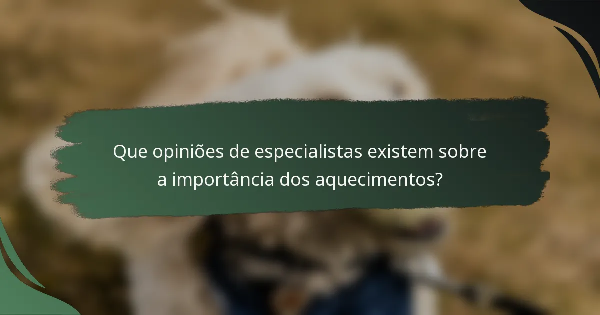 Que opiniões de especialistas existem sobre a importância dos aquecimentos?